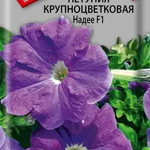 Семена Петуния крупноцветковая Надее F1 20, Поиск