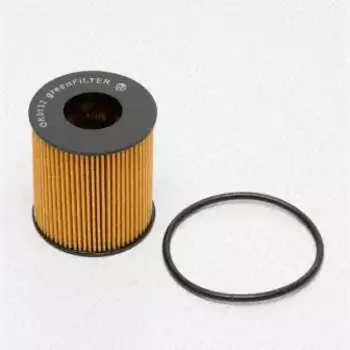 Фильтр масляный GREEN FILTER OK0132 Ford Focus C-Max 2.0TDC