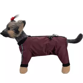 Комбинезон для собак Dogmoda Классик девочка 5 37 см