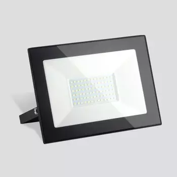 Светодиодный прожектор Elementary Elektrostandard 031 FL LED 100W 4200K IP65 (a051947)