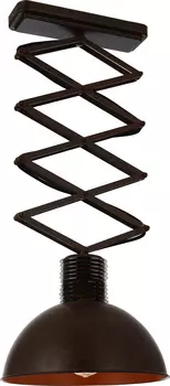 Светильник потолочный Favourite Bellows 1761-1U