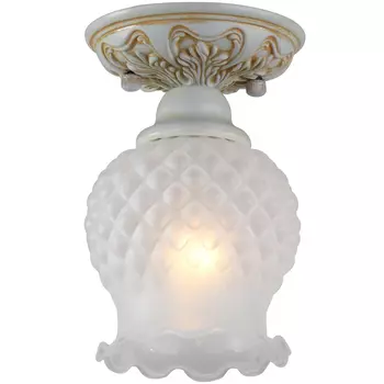 Светильник потолочный Favourite Parma 1385-1U