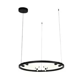 Подвесной светодиодный светильник ST Luce Bisaria SL393.403.06