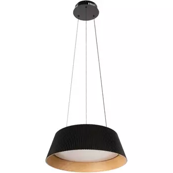 Подвесной светодиодный светильник Loft It Evans 10224P Black