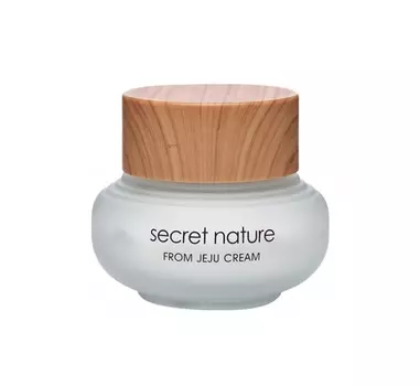 SECRET NATURE Крем увлажняющий с зеленым чаем / From Jeju 50 мл