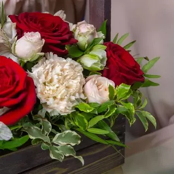 LetuFlowers Флора