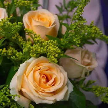 LetuFlowers Вечерняя заря