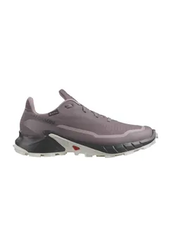 Кроссовки Alphacross 5, GORE-TEX, Contagrip, женские salomon, цвет Moonscape Black