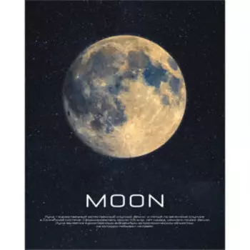 картина на стекле POSTERMARKET Луна, 40х50 см