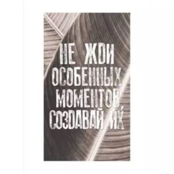 Картина-постер в раме Safary Jam, 20х30 см