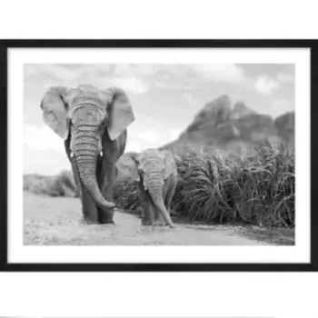 картина в раме POSTERMARKET Слоны, 50х70 см