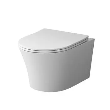 Унитаз подвесной Damixa Skyline DX35C1700SC белый, с крышкой микролифт
