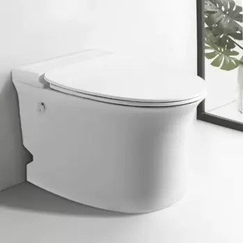 Унитаз приставной импульсный Ceruttispa Nautilus Pulse CT10200 безободковый, с сиденьем микролифт, белый