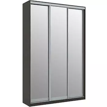 Шкаф-купе Престиж-Купе Рико 3-х дверный р-274199