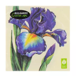 Салфетки бумажные Bulgaree Green Ирис трехслойные 33х33 см 20 шт