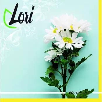 Салфетки Lori Comfort бумажные Ромашка 2х-слойные 33х33 см, 16 шт