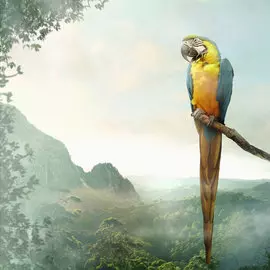 Салфетки Paper+Design Parrot 3-сл 33х33 см 20 шт