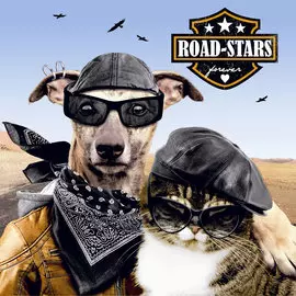 Салфетки Paper+Design Road-stars 3-сл 33х33 см 20 шт
