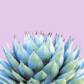 Салфетки трехслойные Paper+Design Cactus 33х33 см 20 шт