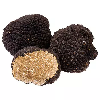 Летние черные трюфели Gemignani