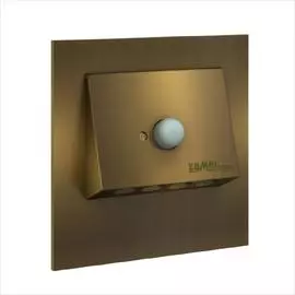 Zamel Светильник NAVI Золото/Тепл.бел. в монт.коробку, 230V AC с датчиком движения