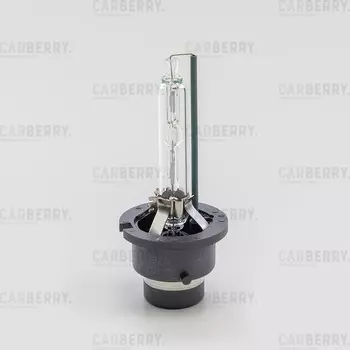 ЛАМПА D4S 42V (35W) DAYNIGHT XENON