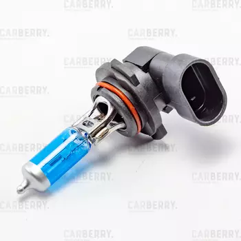 ЛАМПА ГАЛОГЕННАЯ HB4 12V (51W) DAY, NIGHT
