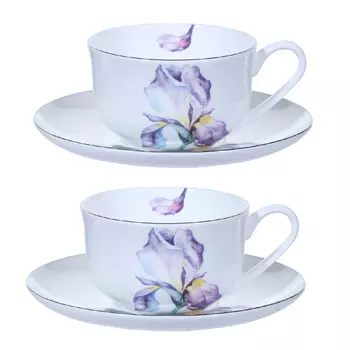 Пара чайная, 2 перс, 4 пр, 160 мл, фарфор F, с серебристым кантом, Ирис, Antarctica Flowers