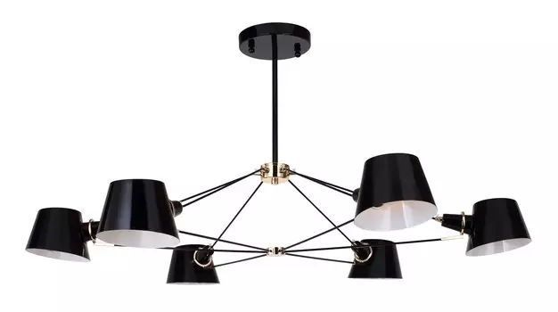 Потолочная люстра Favourite Eimer Black 1512-6P