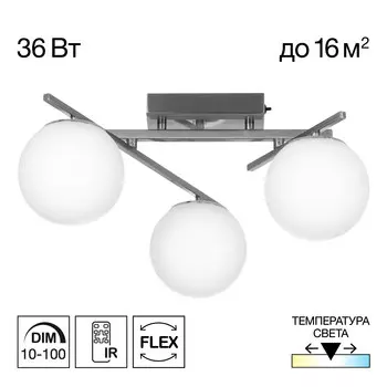 Потолочная люстра Citilux DORSY CL223131