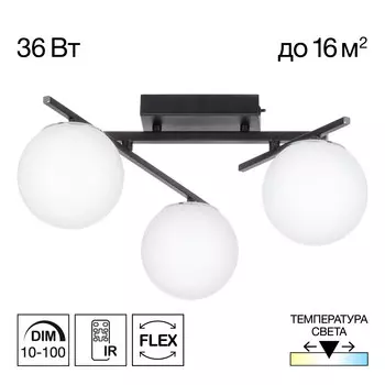 Потолочная люстра Citilux DORSY CL223132