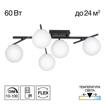 Потолочная люстра Citilux DORSY CL223152