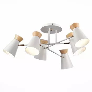 Потолочная люстра Evoluce ALFEO SLE1252-502-06