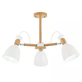 Потолочная люстра Evoluce BALCAMO SLE103802-03