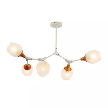Потолочная люстра Evoluce CIOTOLLA SLE113502-05
