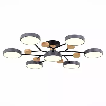 Потолочная люстра Evoluce FAEMA SLE6006-702-07