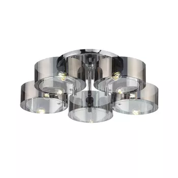 Потолочная люстра Evoluce FORESTA SL483.702.05