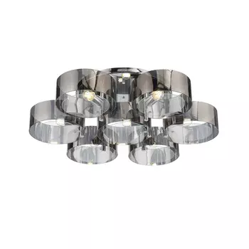 Потолочная люстра Evoluce FORESTA SL483.702.07