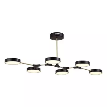 Потолочная люстра Evoluce на штанге MONTA LED SLE6004-402-06