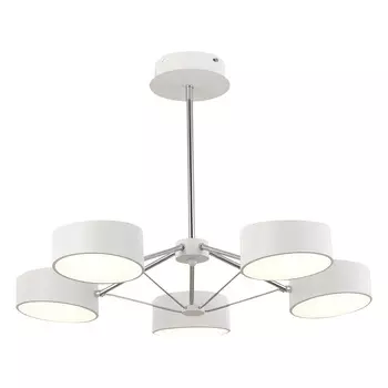 Потолочная люстра Evoluce на штанге MONTA LED SLE6005-502-05