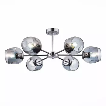 Потолочная люстра Evoluce PALLO SLE155402-06