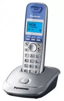 Радиотелефон Panasonic KX-TG2511RU, DECT, АОН, черный/серебристый (KX-TG2511RUS)