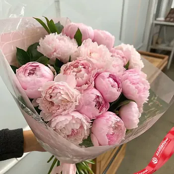AZALIANOW ЦВЕТЫ. ПОДАРКИ. ДЕКОР Букет из 25 розовых пионов в пленке
