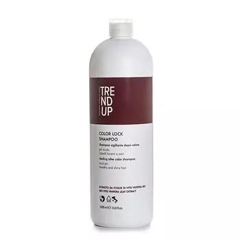 TREND UP Профессиональный шампунь после окрашивания Color Lock Shampoo