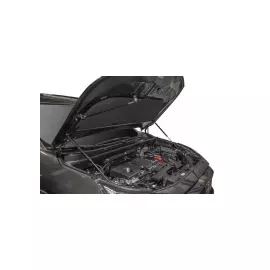 Амортизаторы капота АвтоУПОР Toyota RAV4 (Тойота РАВ4) 2019 -