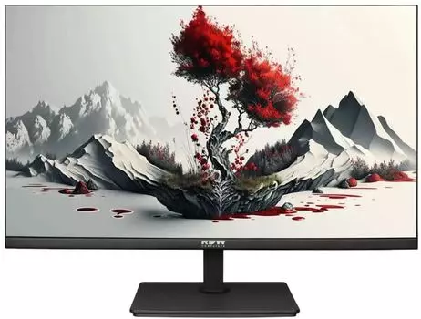Монитор 23,8" RDW Computers 2401K/F00В3100V2A1H черный IPS 4ms 16:9 HDMI M/M матовая HAS Piv 1000:1 300cd 178гр/178гр 1920x1080 100Hz VGA DP FHD (RUS)