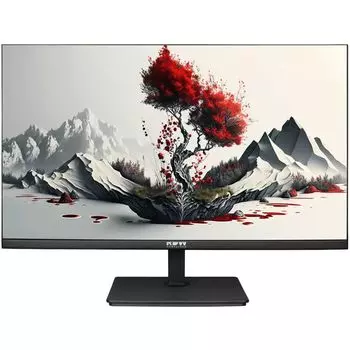 Монитор 23,8" RDW Computers 2401K/F00В3120V2A1 черный IPS 5ms 16:9 HDMI M/M матовая HAS Piv 1000:1 300cd 178гр/178гр 1920x1080 120Hz VGA DP FHD (RUS)