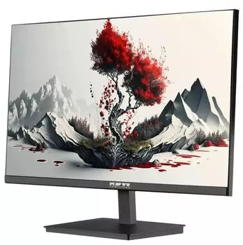 Монитор 23,8" RDW Computers RDW2401K 1920x1080(FHD) IPS 100Hz 5мс 178°/178 300cd 1000:1 VGA HDMI DP наклон, внутр.БП, Динамики, черный, VESA 100*100,