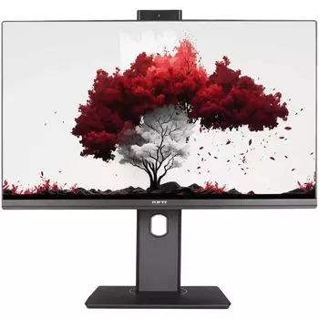 Монитор 23,8" RDW Computers RDW2402K/F00B3 черный IPS 16:9 HDMI M/M Cam матовая HAS Piv 250cd 178гр/178гр 1920x1080 75Hz VGA DP FHD (RUS)