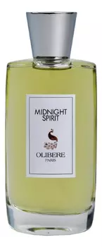 Midnight Spirit: парфюмерная вода 100мл уценка